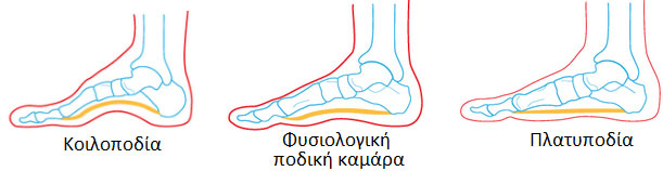 Πελματογράφος